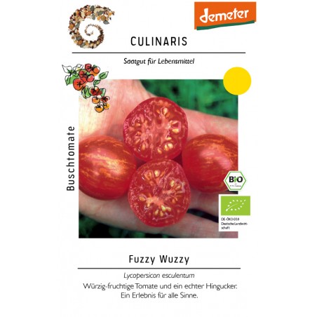 Lycopersicon esculentum