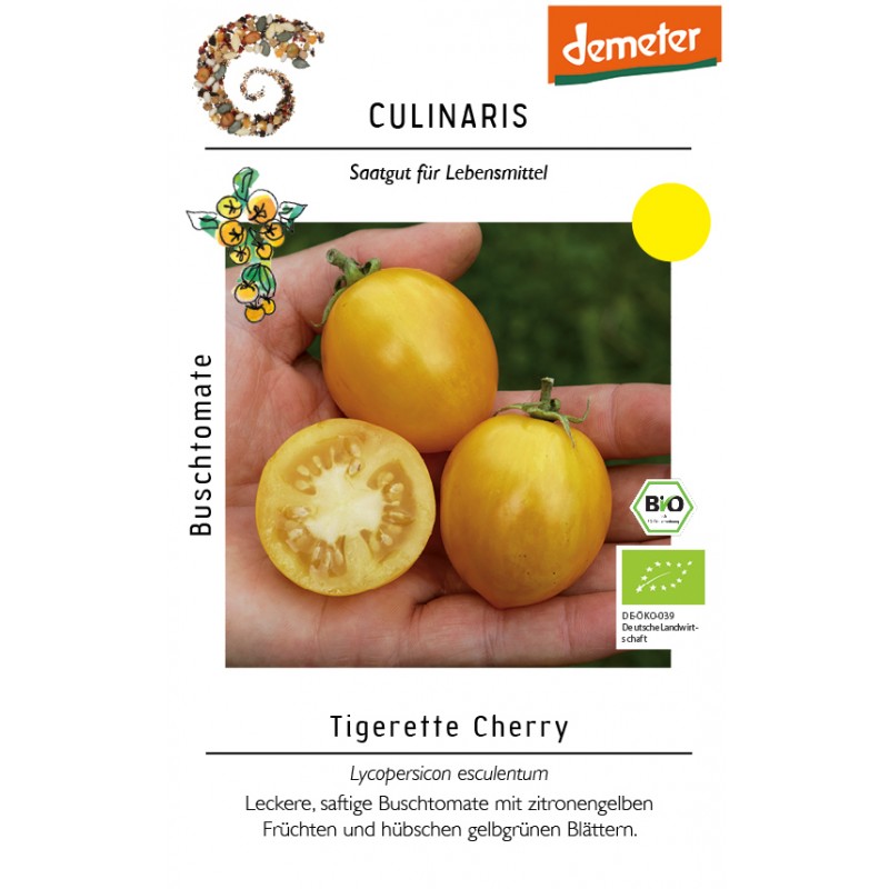 Lycopersicon esculentum