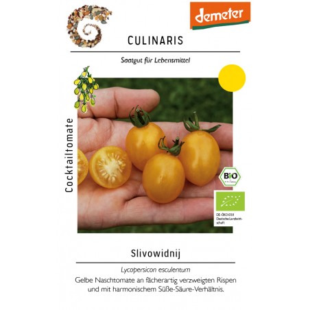 Lycopersicon esculentum