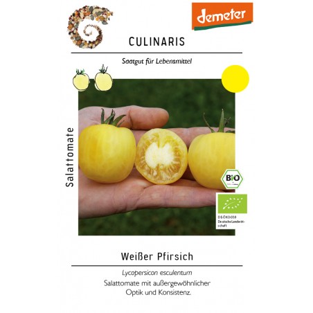 Lycopersicon esculentum