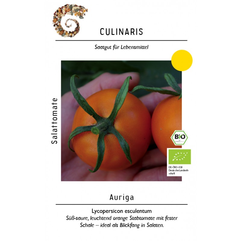 Lycopersicon esculentum