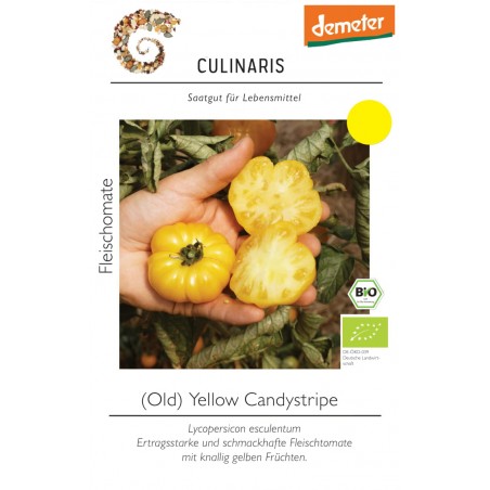 Lycopersicon esculentum