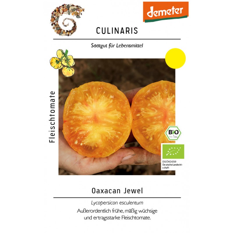 Lycopersicon esculentum