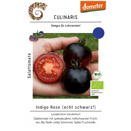 Lycopersicon esculentum