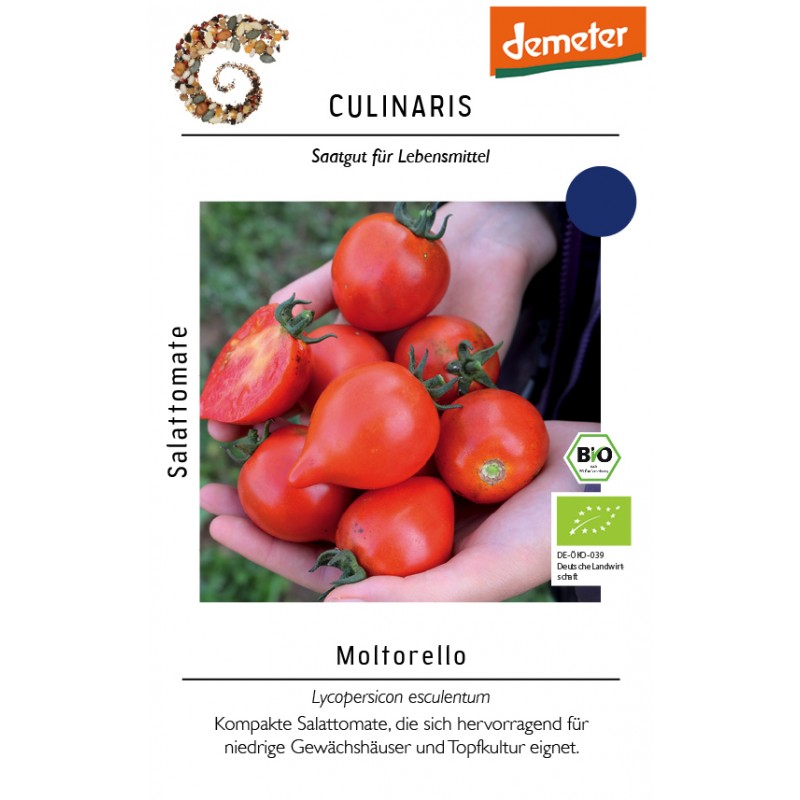 Lycopersicon esculentum