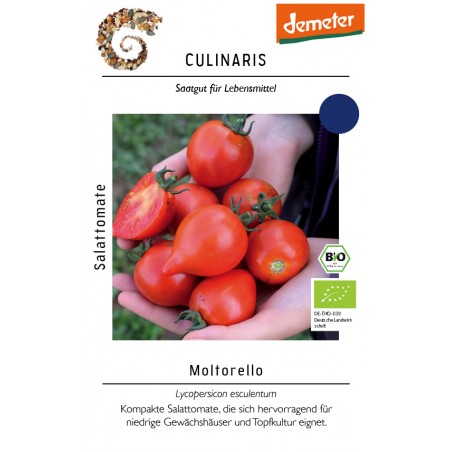 Lycopersicon esculentum