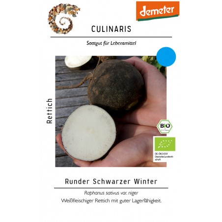 Raphanus sativus var. niger