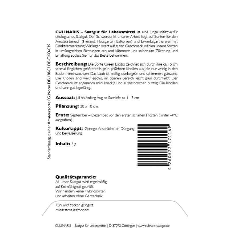 Rettich Green Luobo – Pflanze (Produktfoto)