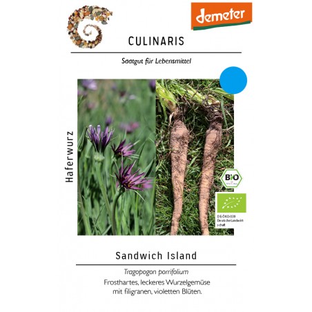 Tragopogon porrifolium