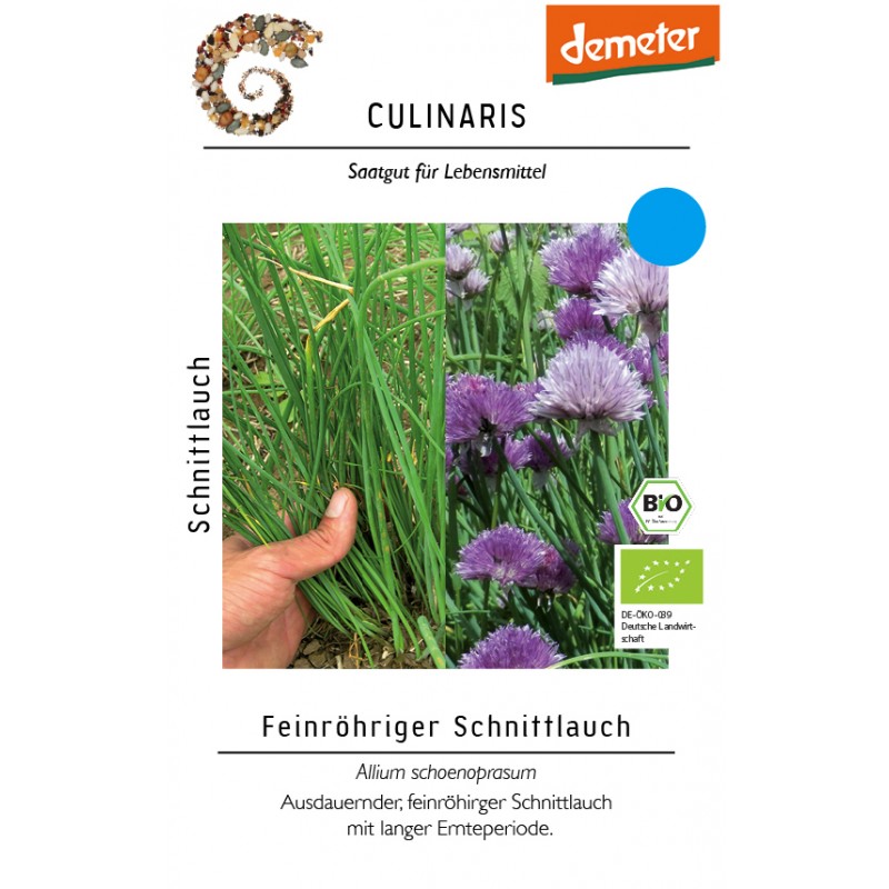 Allium schoenoprasum