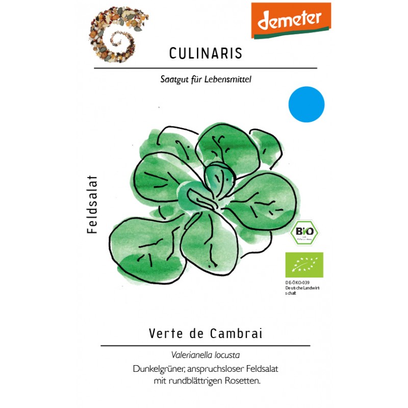 Valerianella locusta