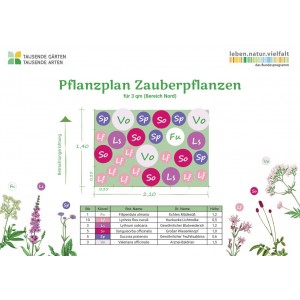 Zauberpflanzen 1