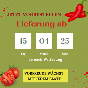 Veredelte Schlangengurke Lucky Cucumber