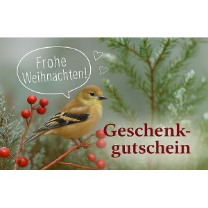 gutschein-weihnachten