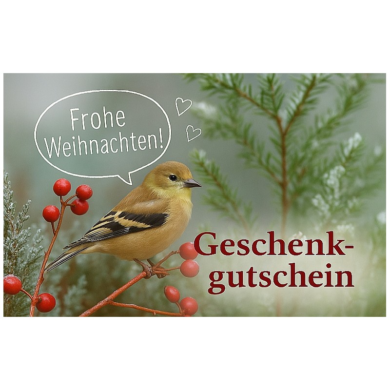 gutschein-weihnachten
