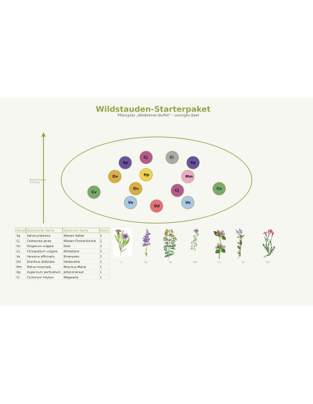 Pflanzplan Starterpaket Wildbienenbuffet