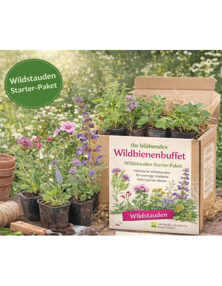 Titelbild Starterpaket Wildbienenbuffet
