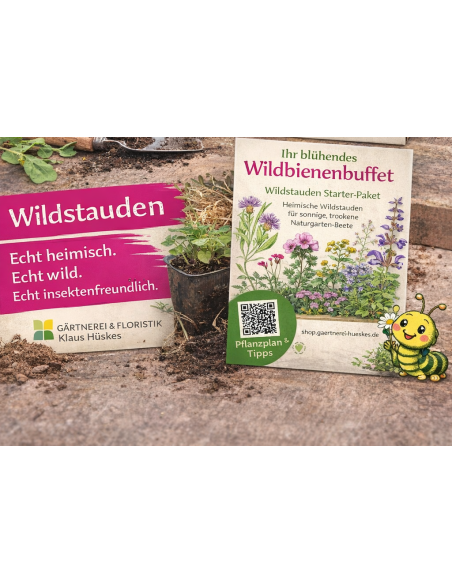 Produktbild Starterpaket Wildbienenbuffet