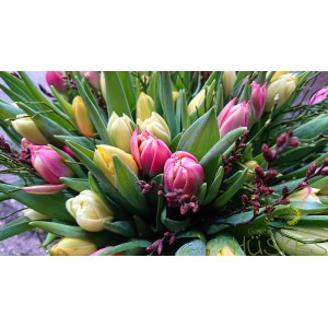 Tulpenstrauß mit Moorweide