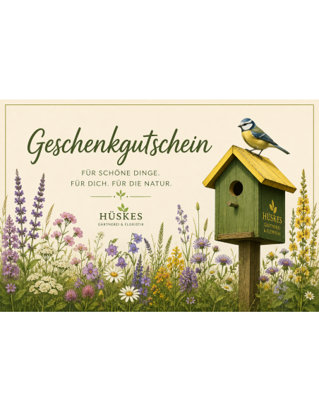 geschenkgutschein-neutral Produktbild