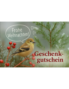 geschenkgutschein-weihnachten