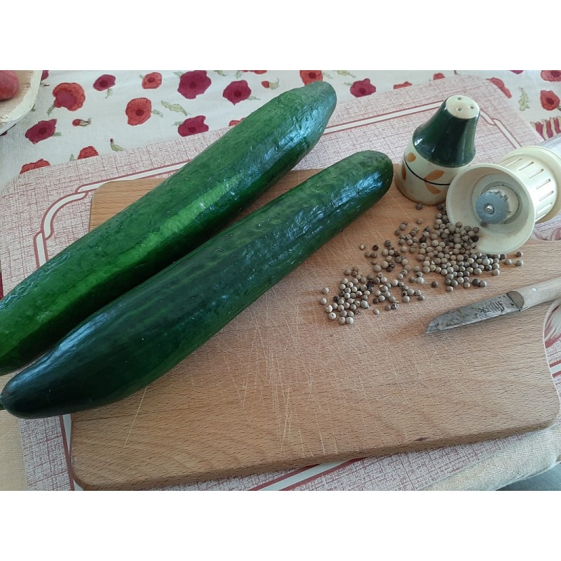 Veredelte Schlangengurke Lucky Cucumber – Kräuter-/Gemüsepflanze (Produktfoto)