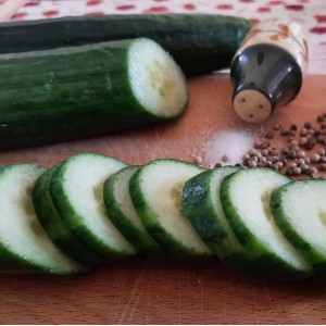 Veredelte Brotzeitgurke Merlin F1 – Kräuter-/Gemüsepflanze (Produktfoto)