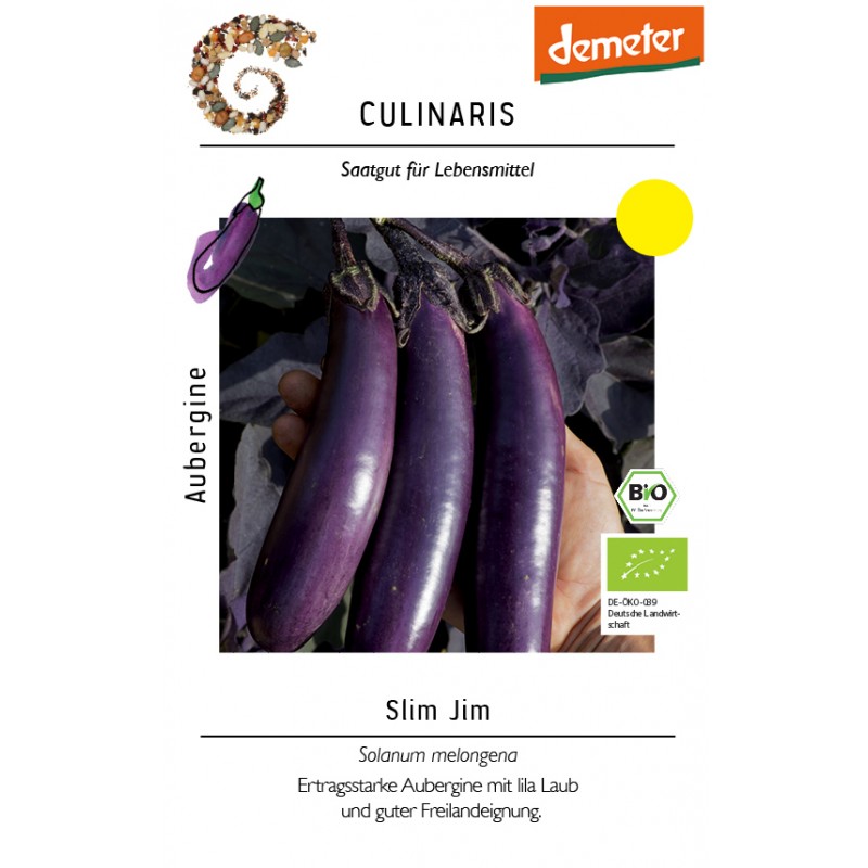 Solanum     melongena