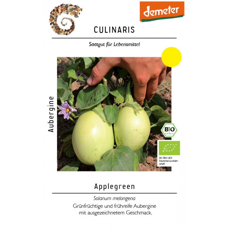 Solanum     melongena