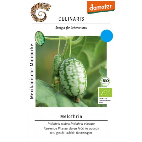 Melothria scabra; Melothria trilobata