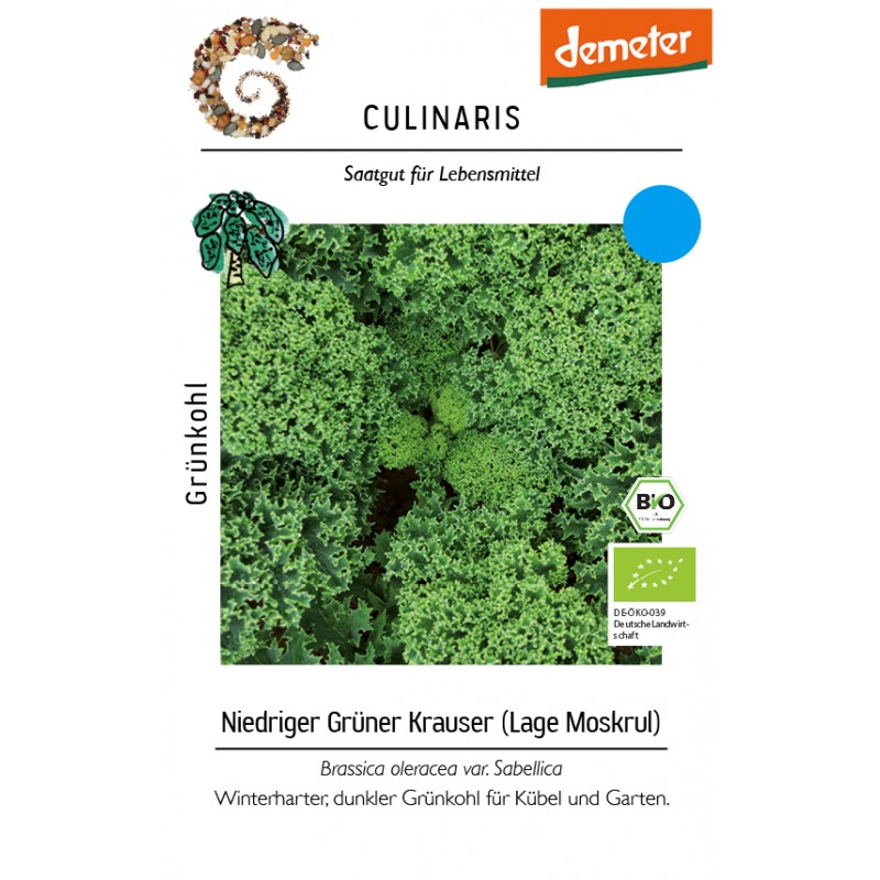 Brassica oleracea var. sabellica