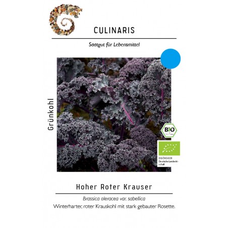 Brassica oleracea var. sabellica