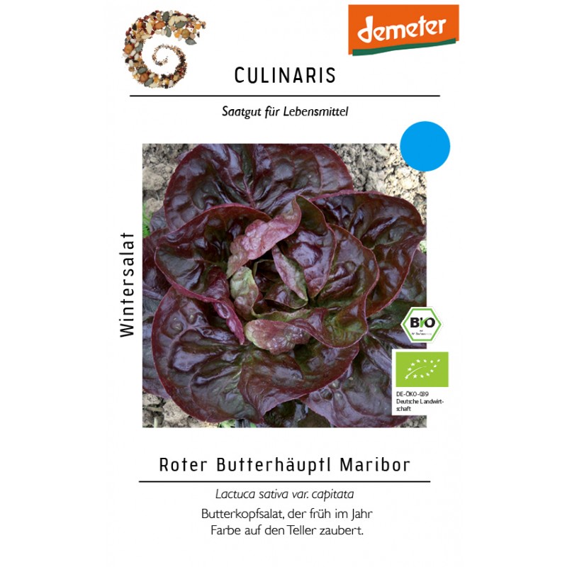 Lactuca sativa var. capitata