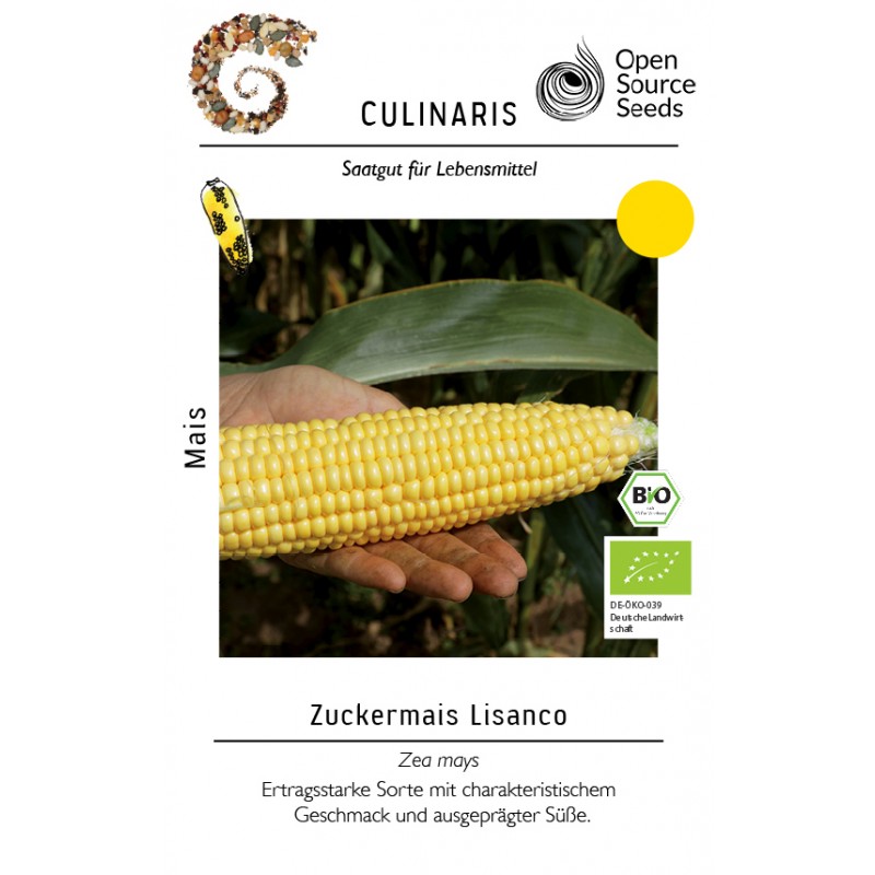 Zea mays