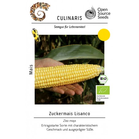 Zea mays
