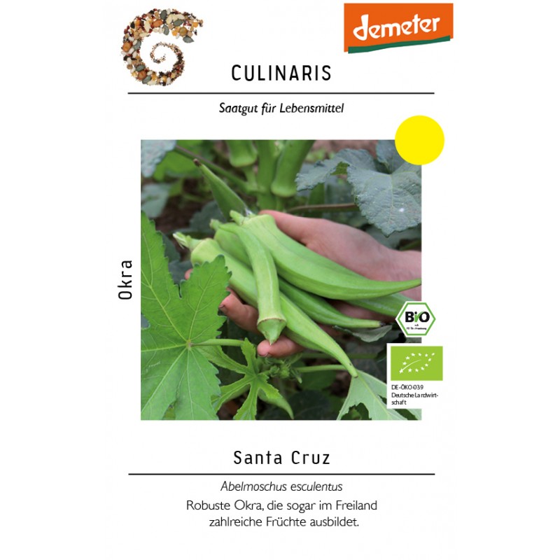 Abelmoschus esculentus