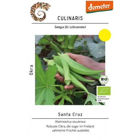 Abelmoschus esculentus