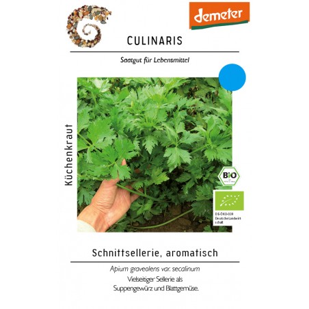 Apium graveolens var. secalinum