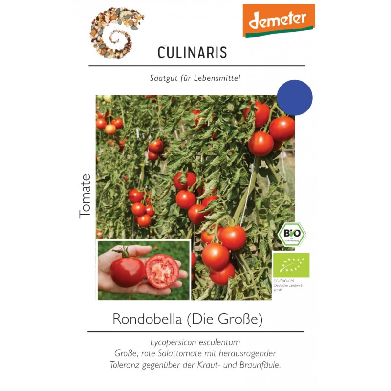 Lycopersicon esculentum