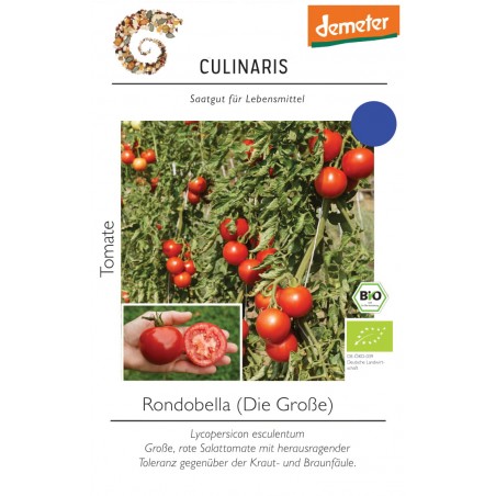 Lycopersicon esculentum