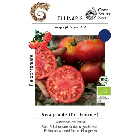 Lycopersicon esculentum