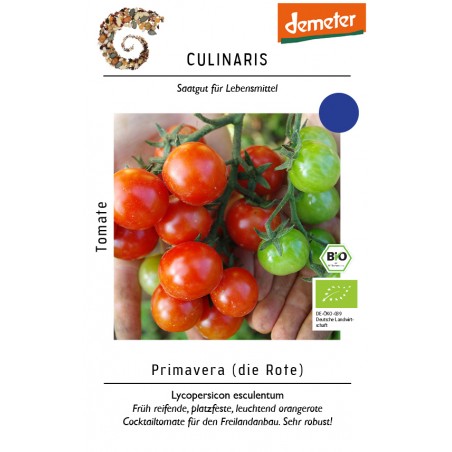 Lycopersicon esculentum