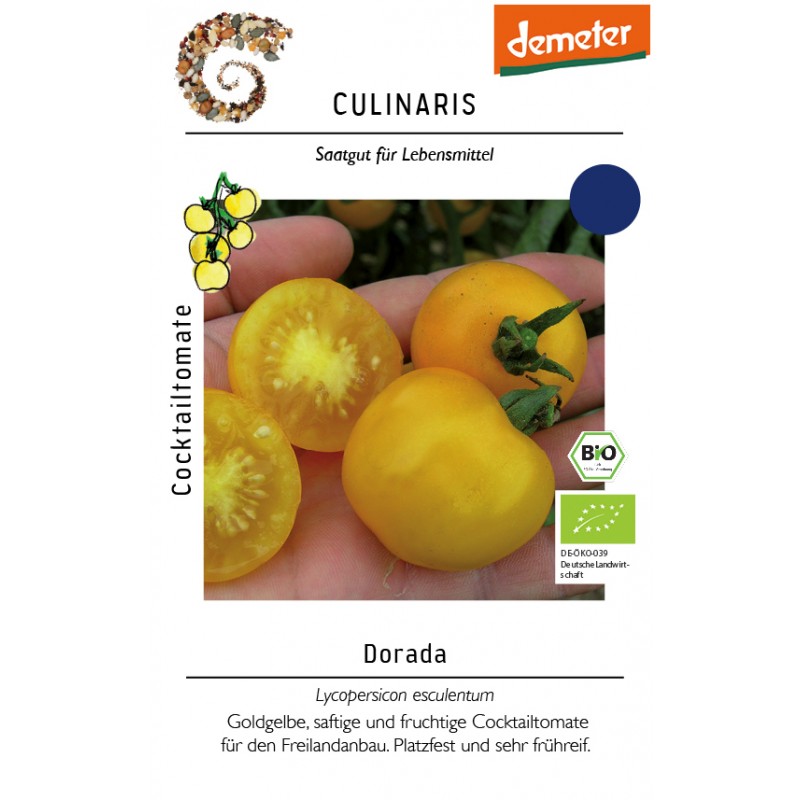 Cocktailtomate Dorada – Pflanze (Produktfoto)