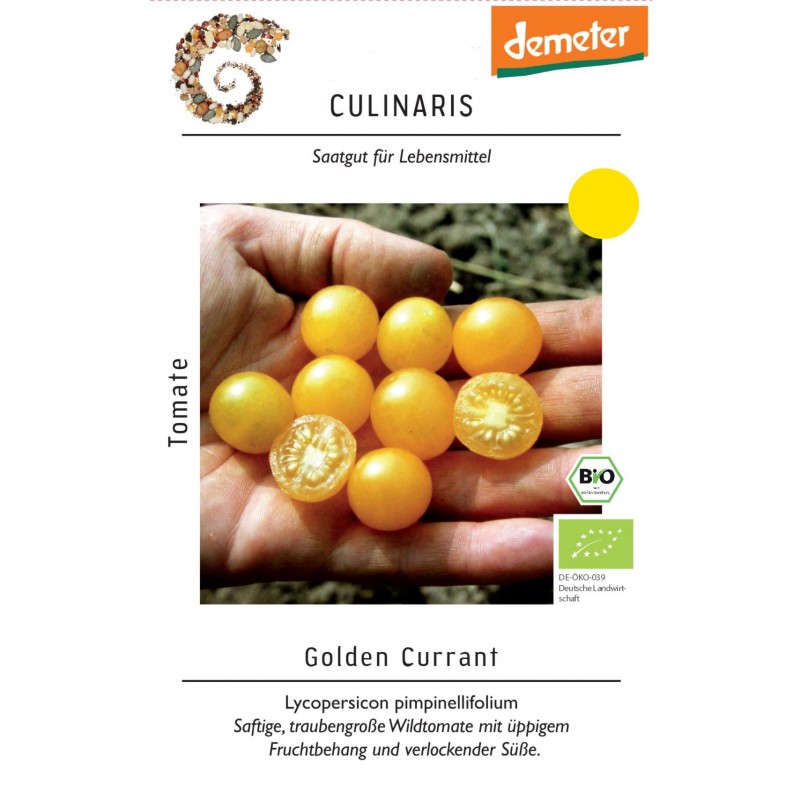 Lycopersicon pimpinellifolium