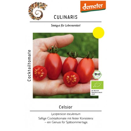 Lycopersicon esculentum