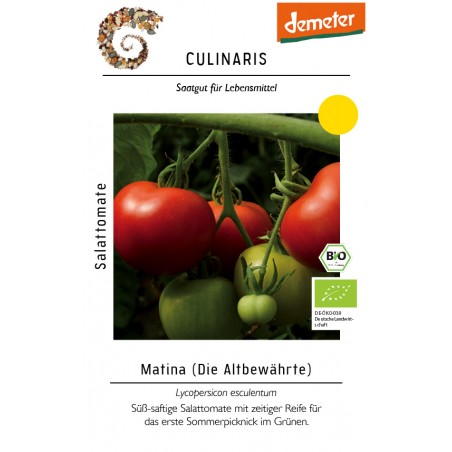 Lycopersicon esculentum