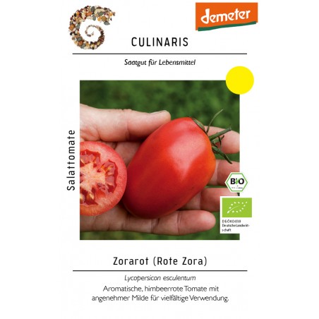 Lycopersicon esculentum