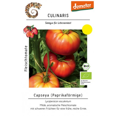 Lycopersicon esculentum