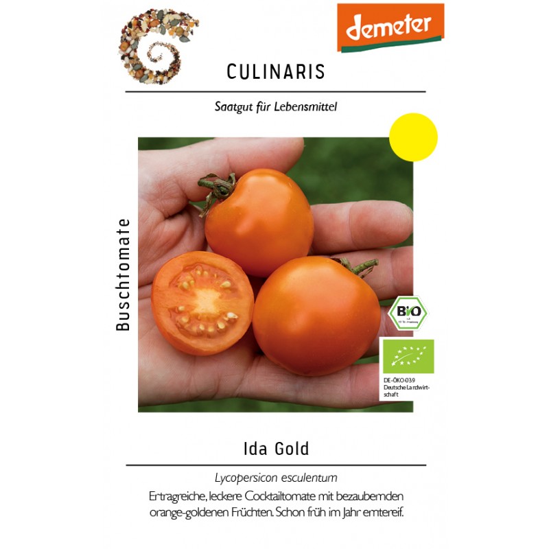 Lycopersicon esculentum