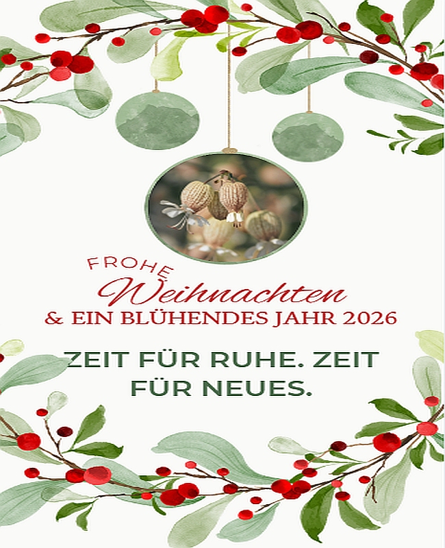 Winterruhe im Garten – wir bereiten Neues vor